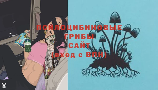 гашик Белоозёрский