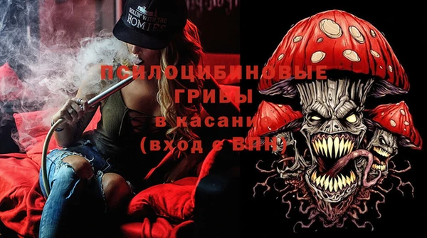 гашик Белоозёрский