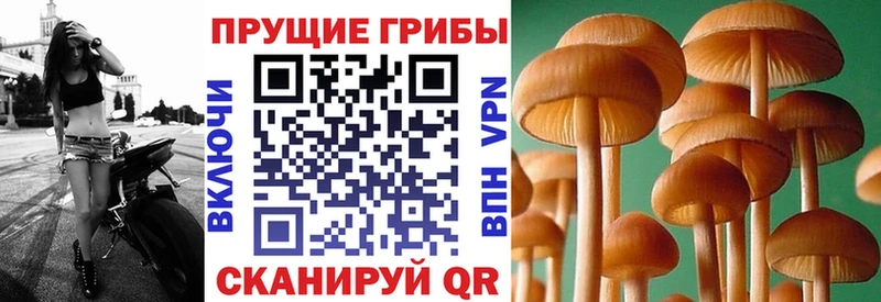 Галлюциногенные грибы прущие грибы Клин