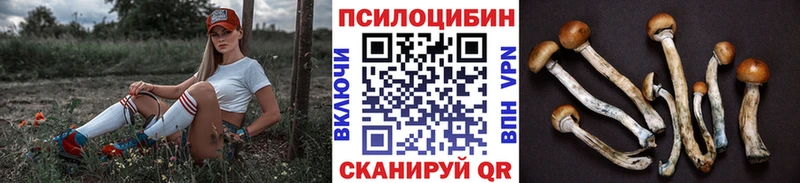 мориарти формула  купить закладку  Клин  Галлюциногенные грибы Cubensis 